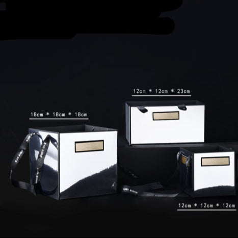 Caja Canasta tipo ESPEJO / Paquete de 2 cajas idénticas