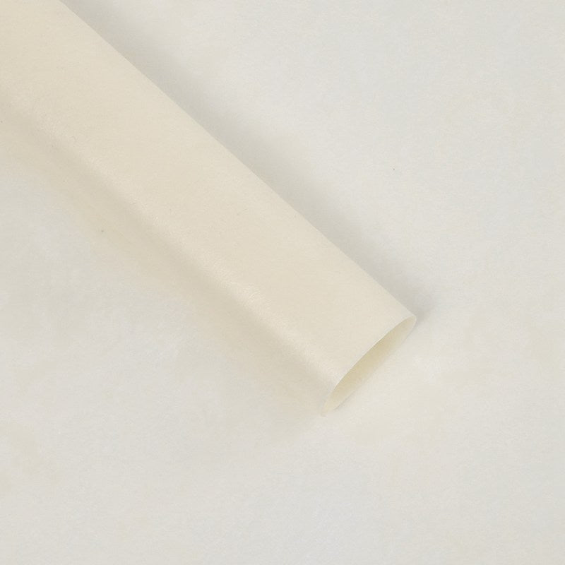 Papel PELLON PREMIUM - LISO / Paq. 20 Pliegos