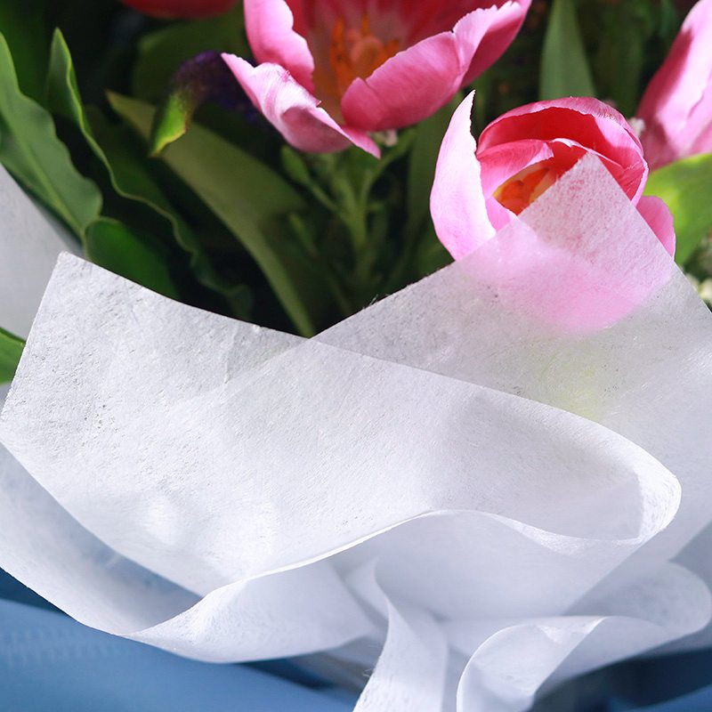 Papel PELLON PREMIUM - LISO / Paq. 20 Pliegos