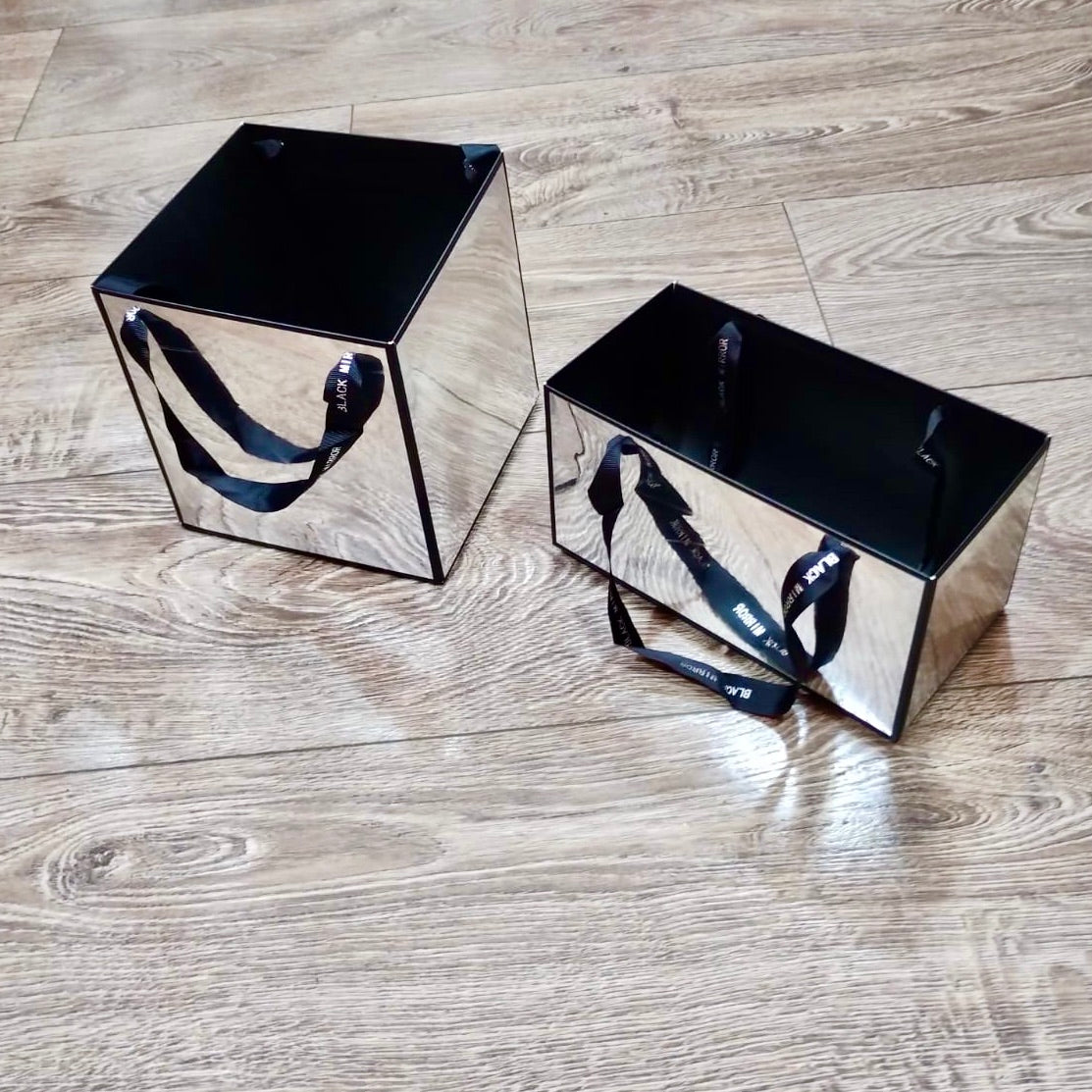 Caja Canasta tipo ESPEJO / Paquete de 2 cajas idénticas