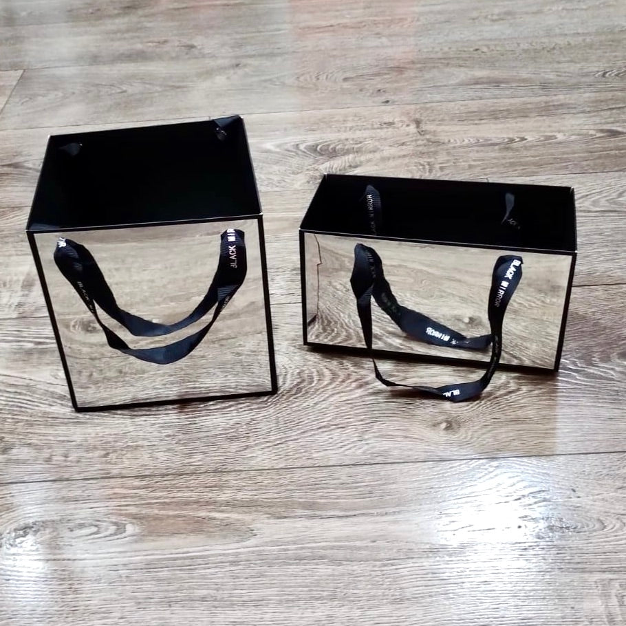 Caja Canasta tipo ESPEJO / Paquete de 2 cajas idénticas