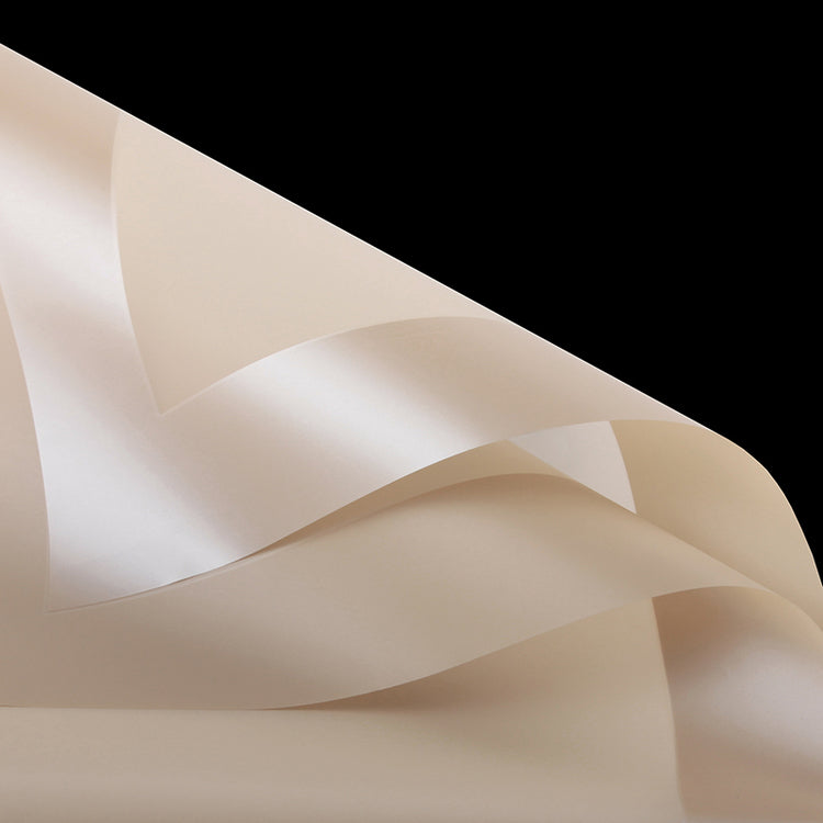Papel Coreano para ramos de flores DUO MATE BRILLANTE / Paq. 20 Pliegos