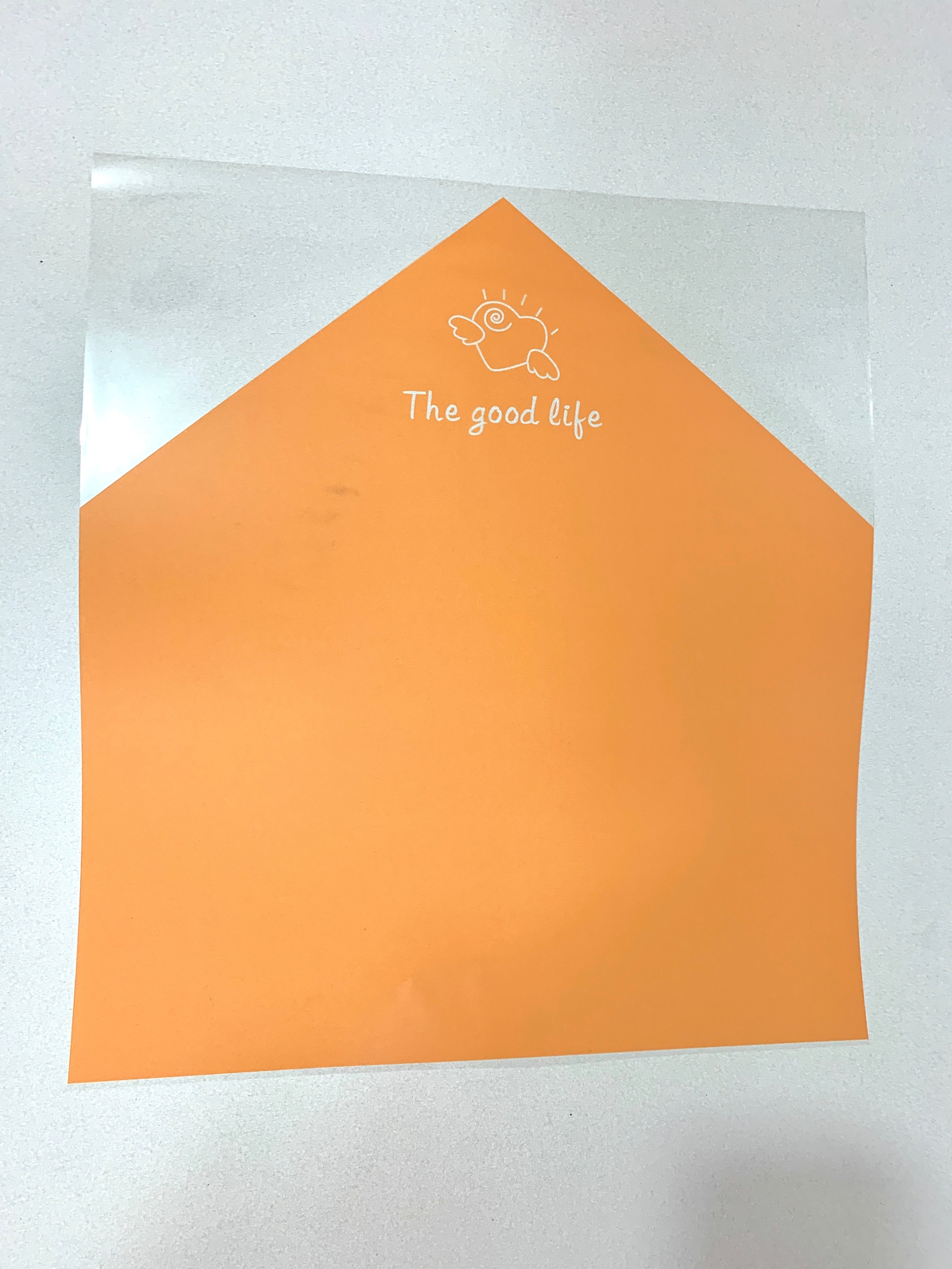 Pliego CELOFÁN XTS / Paq. 20pz / Ed. Limitada (No incluye flores)