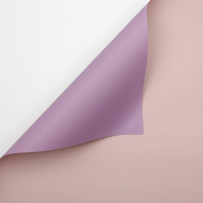 Papel Coreano PASTEL Doble Vista / Paq. 20 Pliegos (NUEVOS COLORES)