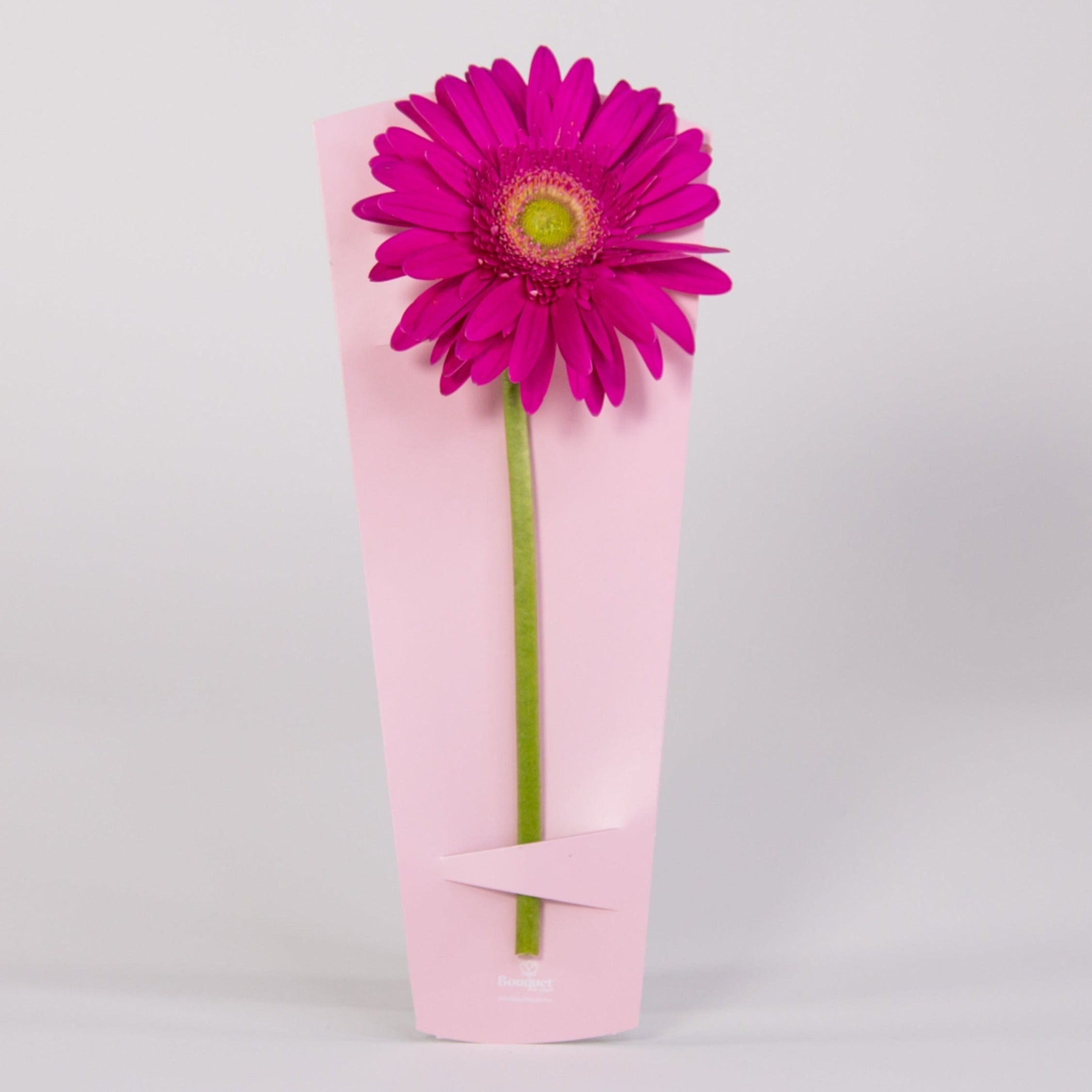 PORTA FLOR Te Quiero Mucho (TQM) / Precio Paq. 12pz