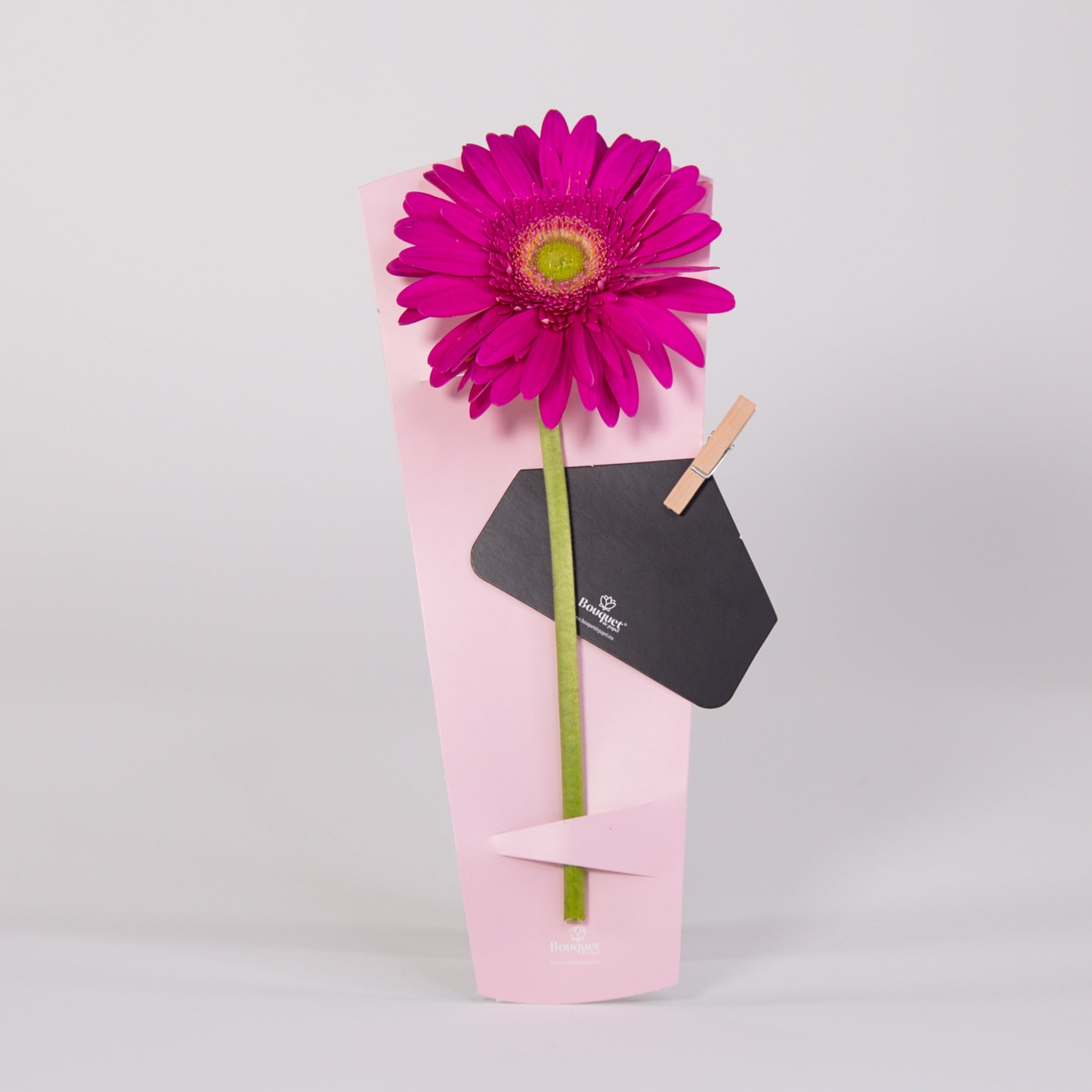 PORTA FLOR Te Quiero Mucho (TQM) / Precio Paq. 12pz