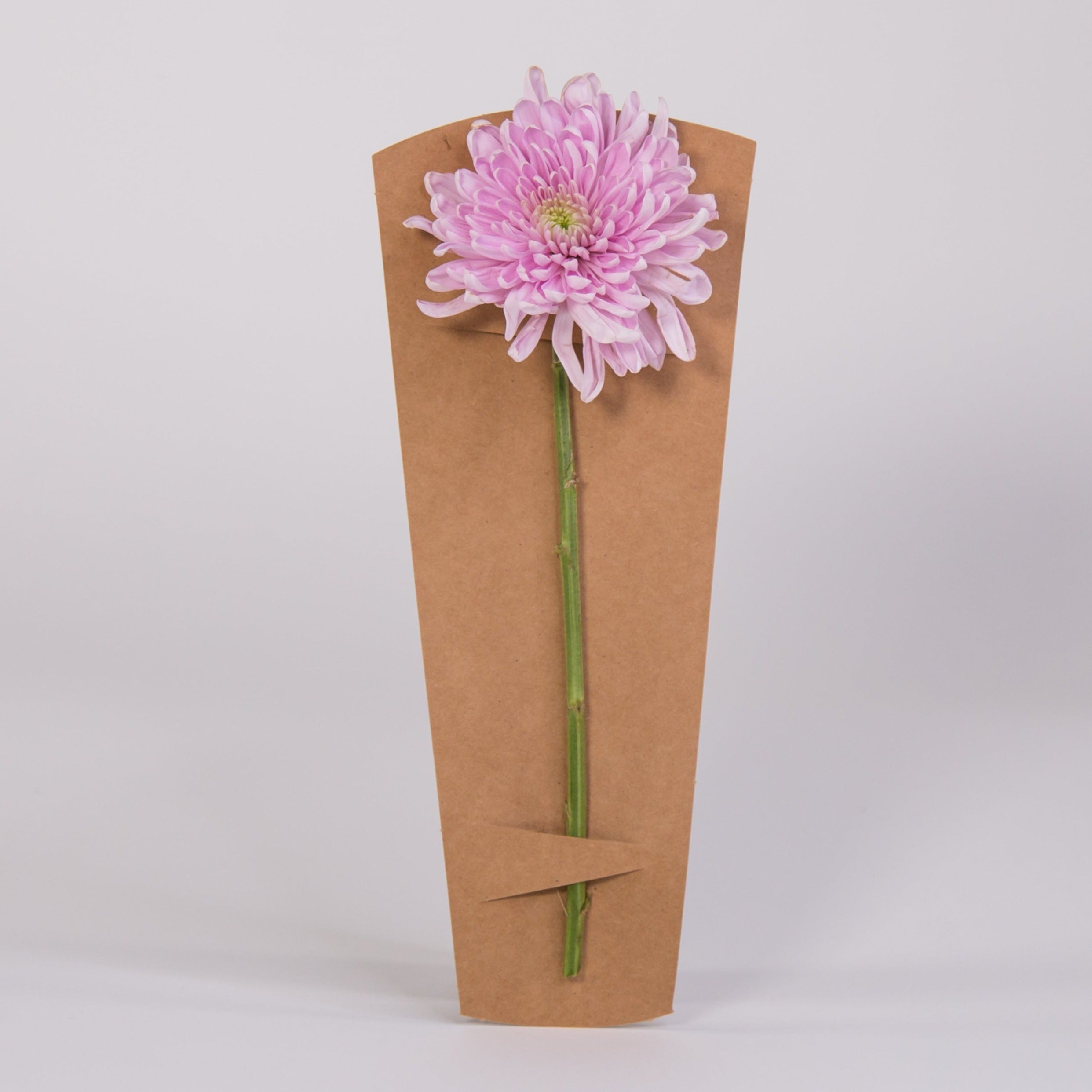 PORTA FLOR Te Quiero Mucho (TQM) / Precio Paq. 12pz