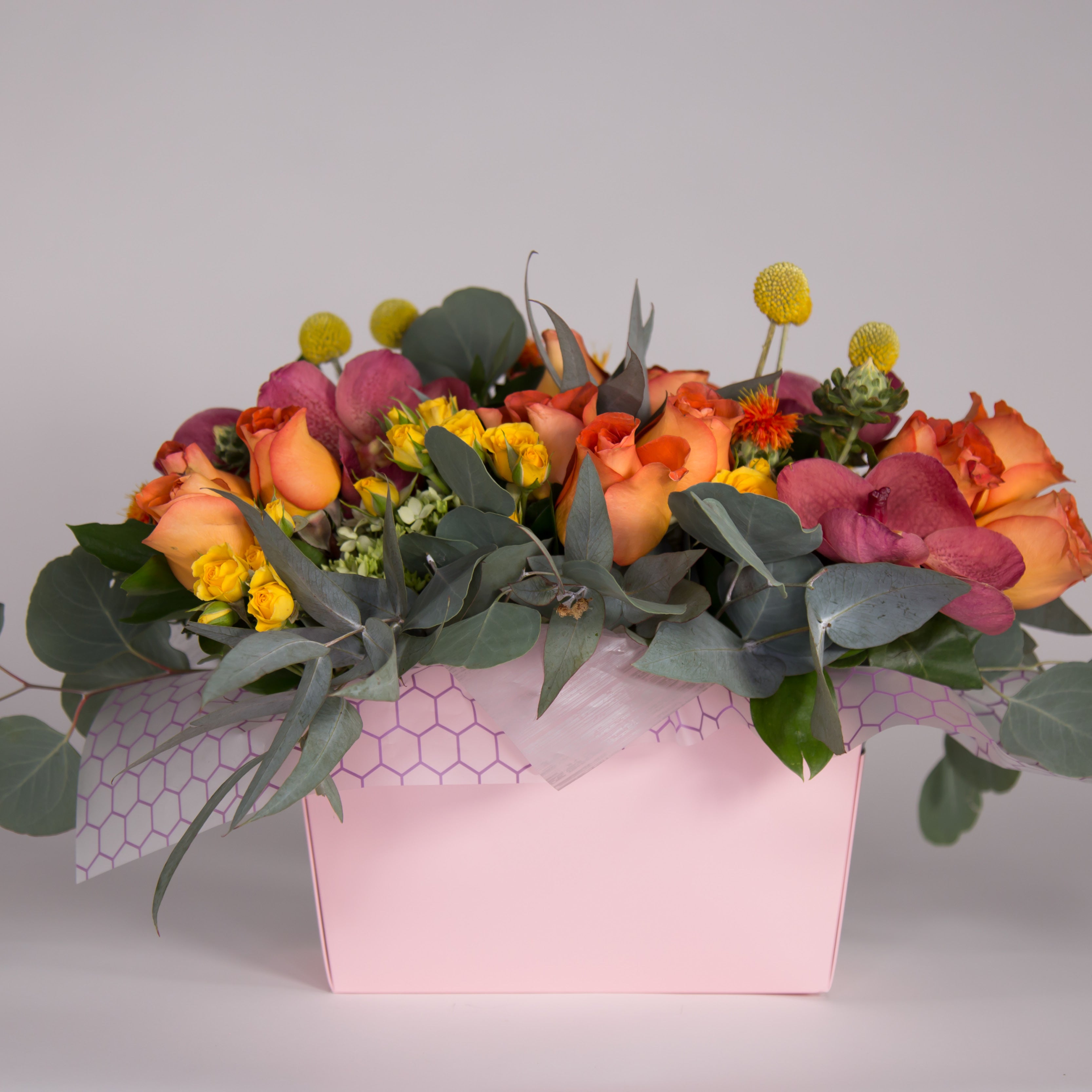 Canasta MARSELLA ($25 pz)/ Paquete de 5 cajas