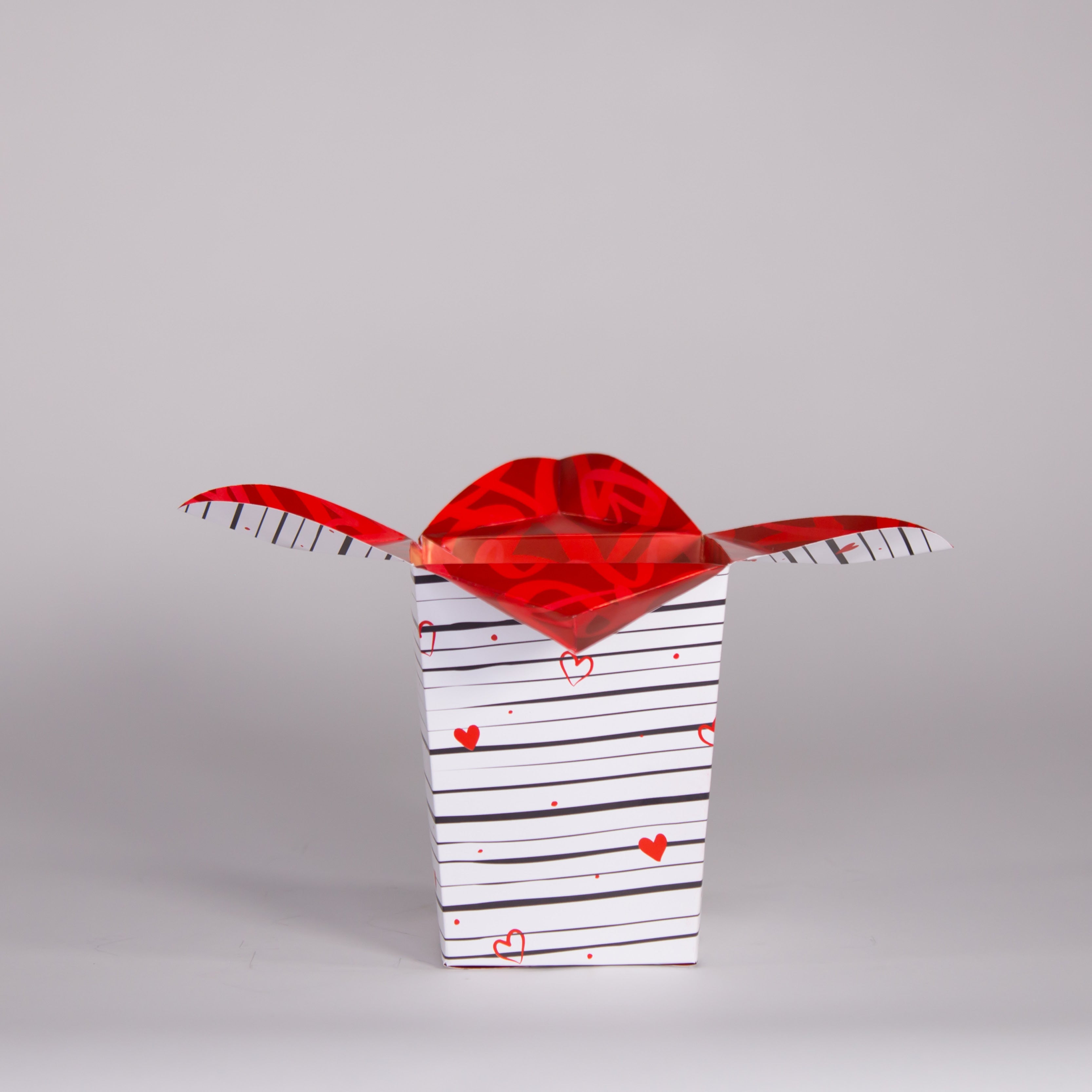 Diseño de EMPAQUES y CAJAS - Solicita tu Cotización