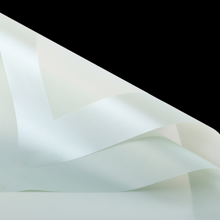 Papel Coreano para ramos de flores DUO MATE BRILLANTE / Paq. 20 Pliegos