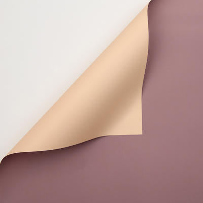 Papel Coreano PASTEL Doble Vista / Paq. 20 Pliegos (NUEVOS COLORES)
