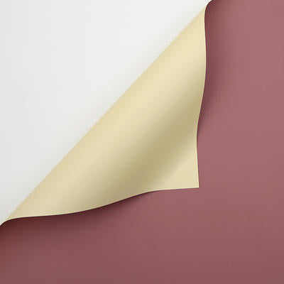 Papel Coreano PASTEL Doble Vista / Paq. 20 Pliegos (NUEVOS COLORES)