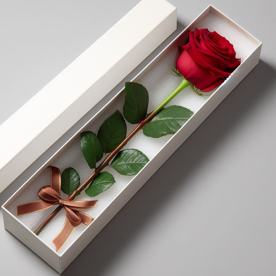 Cajas ESTUCHE para una sola rosa / Paquete de 20 pz (No incluye flores o chocolates)